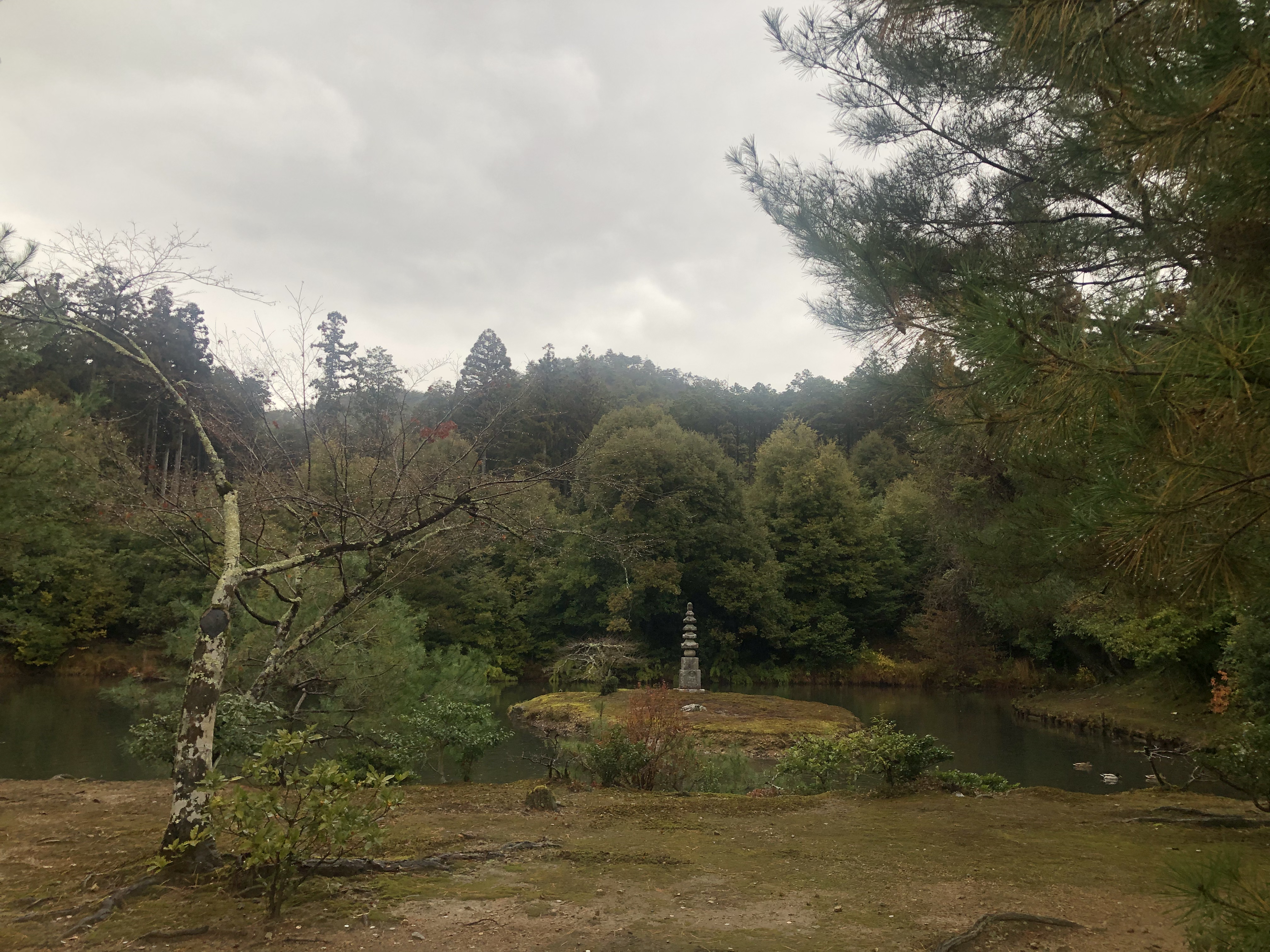 no clue what this is